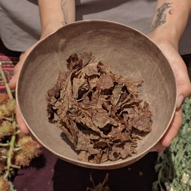 Protección energética con Plantas & Prácticas Ancestrales