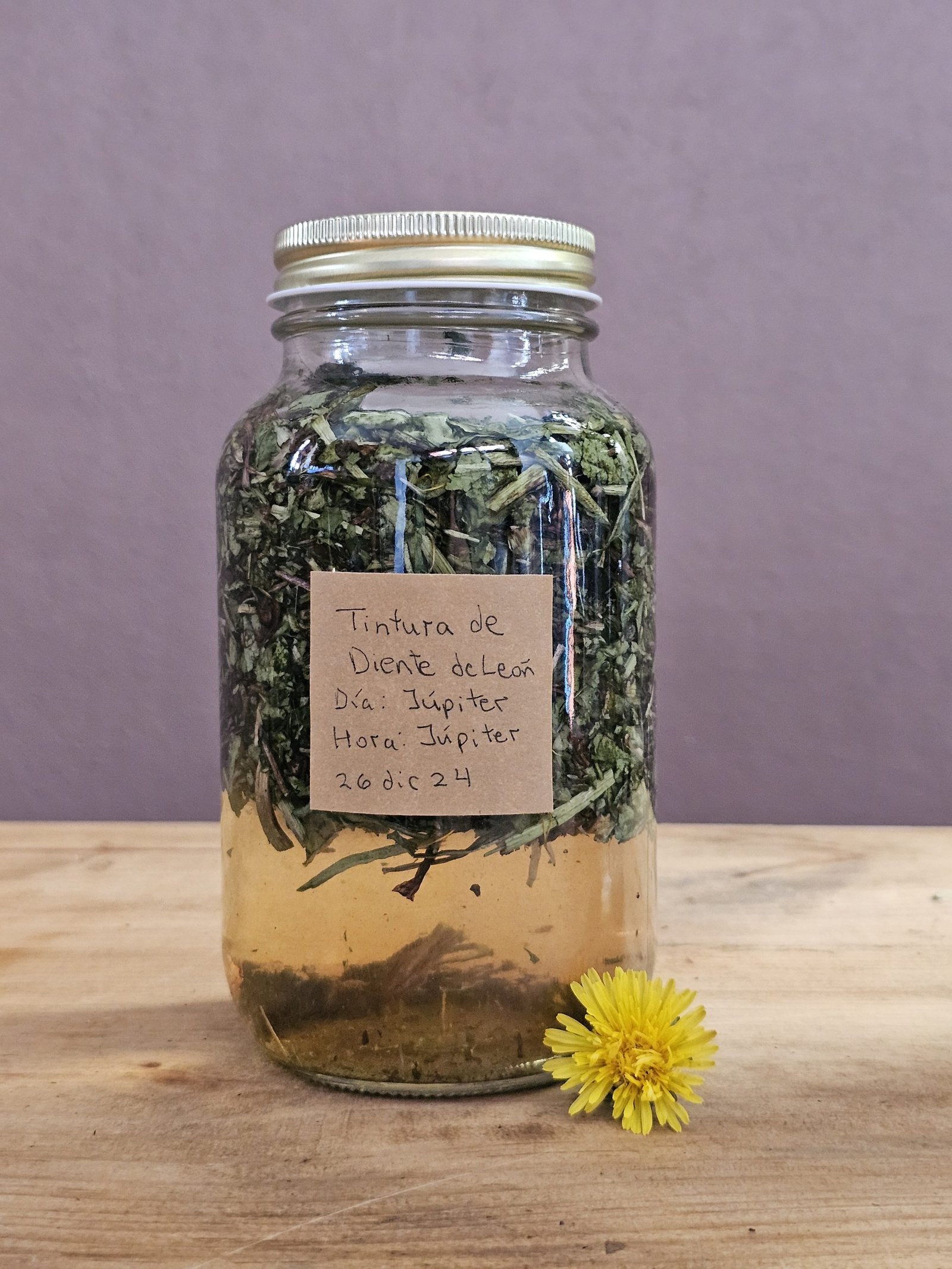 Botiquín Detox Preparaciones medicinales