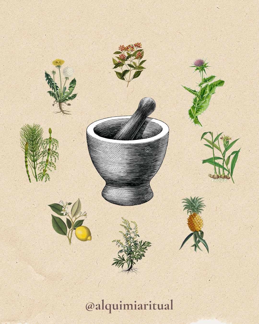 Botiquín Detox Preparaciones medicinales