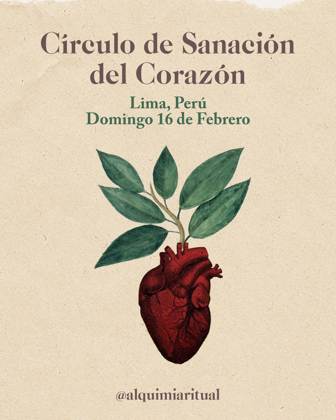 Círculo de Sanacion con Plantas para el corazon