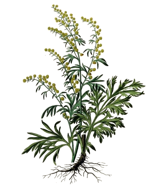 Botiquín Detox Preparaciones medicinales