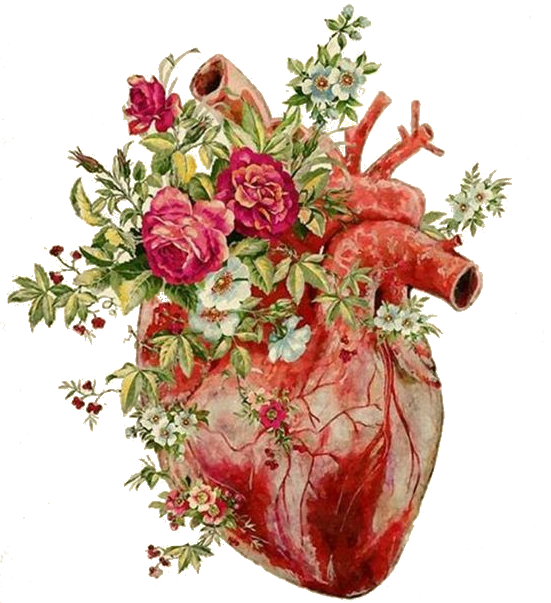 Círculo de Sanacion con Plantas para el corazon