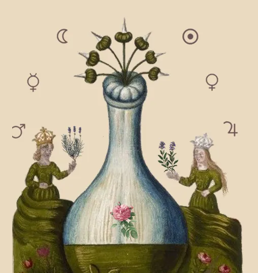 Group_17 El Sendero de la Herbalista Mágica