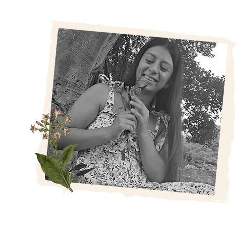 El Sendero de la Herbalista Mágica El Sendero de la Herbalista Mágica