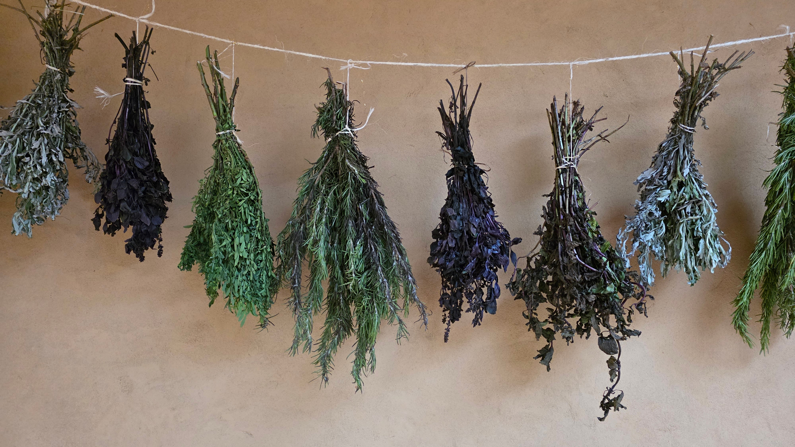 El Sendero de la Herbalista Mágica