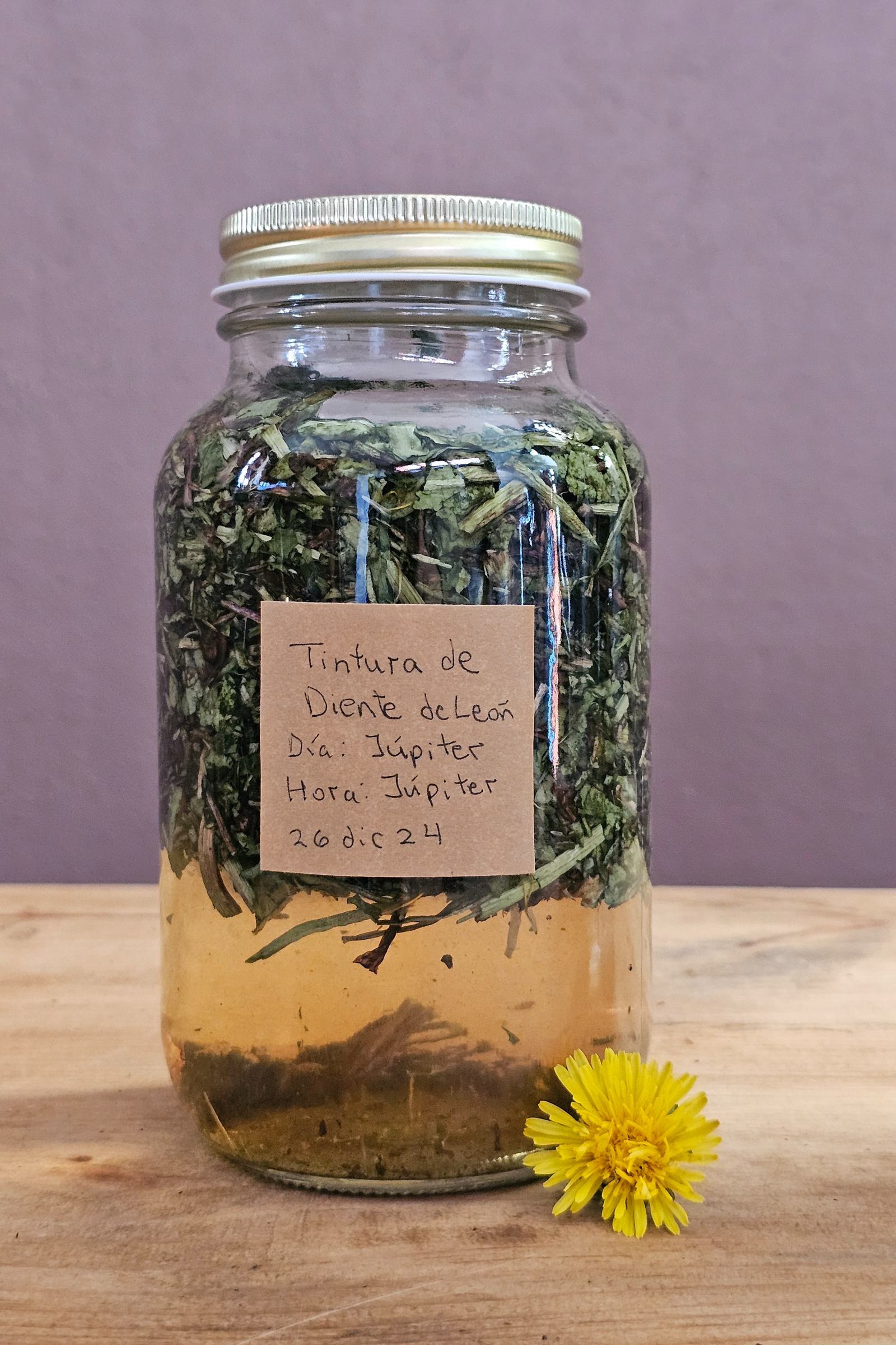 Botiquín Détox: Preparaciones medicinales & Guía de depuración