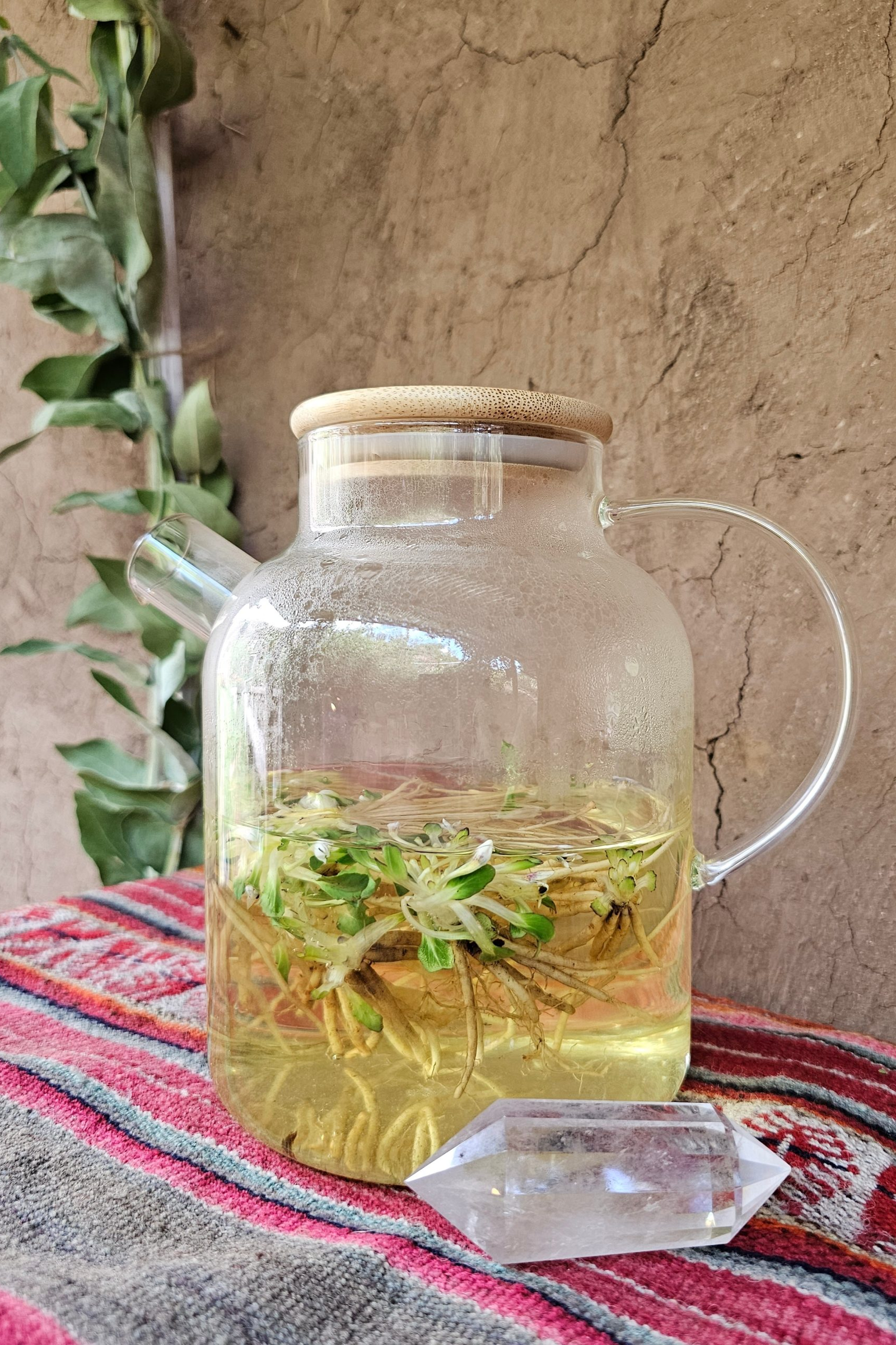 Infusiones curativas: Elixires, Medicina del agua, Plantas y Astros