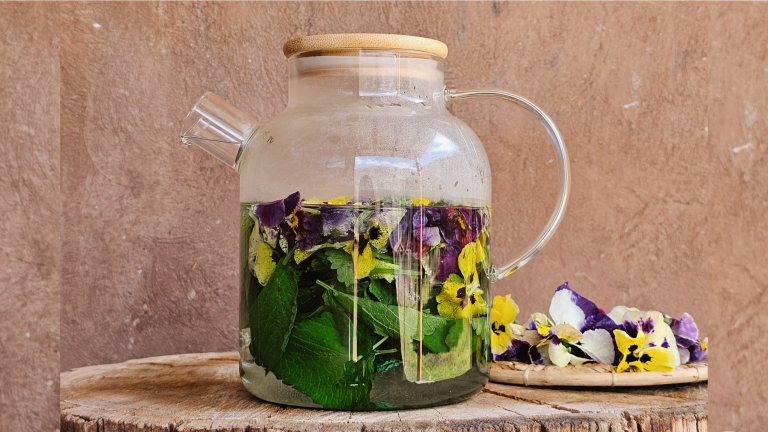 Infusiones curativas: Elixires, Medicina del agua, Plantas y Astros