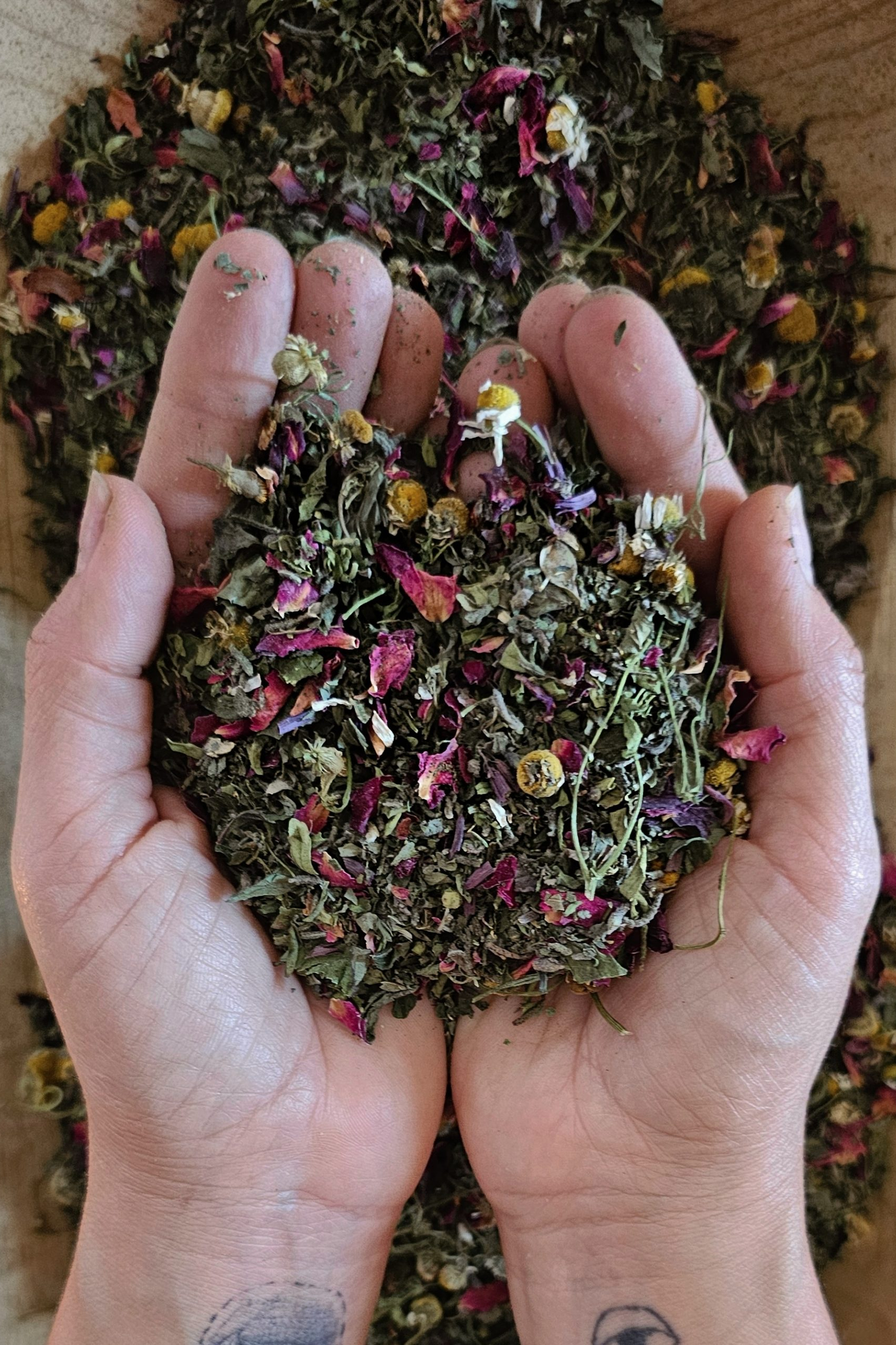 Purificación y Florecimiento energético: con Plantas y Herramientas holísticas