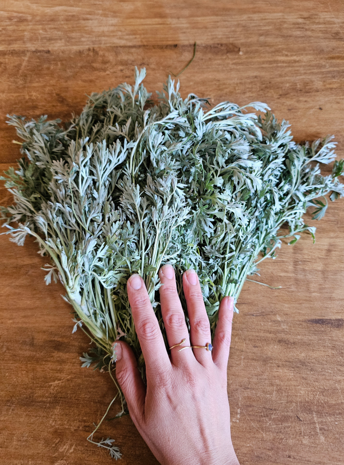 ELIXIR DESPARASITANTE DE AJENJO