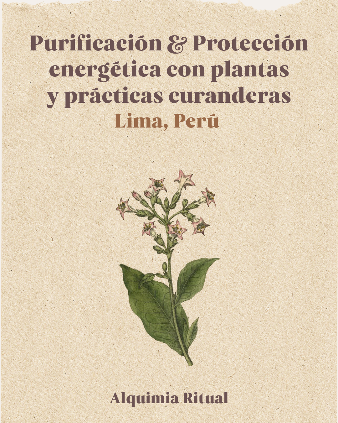 Eventos y Talleres Presenciales