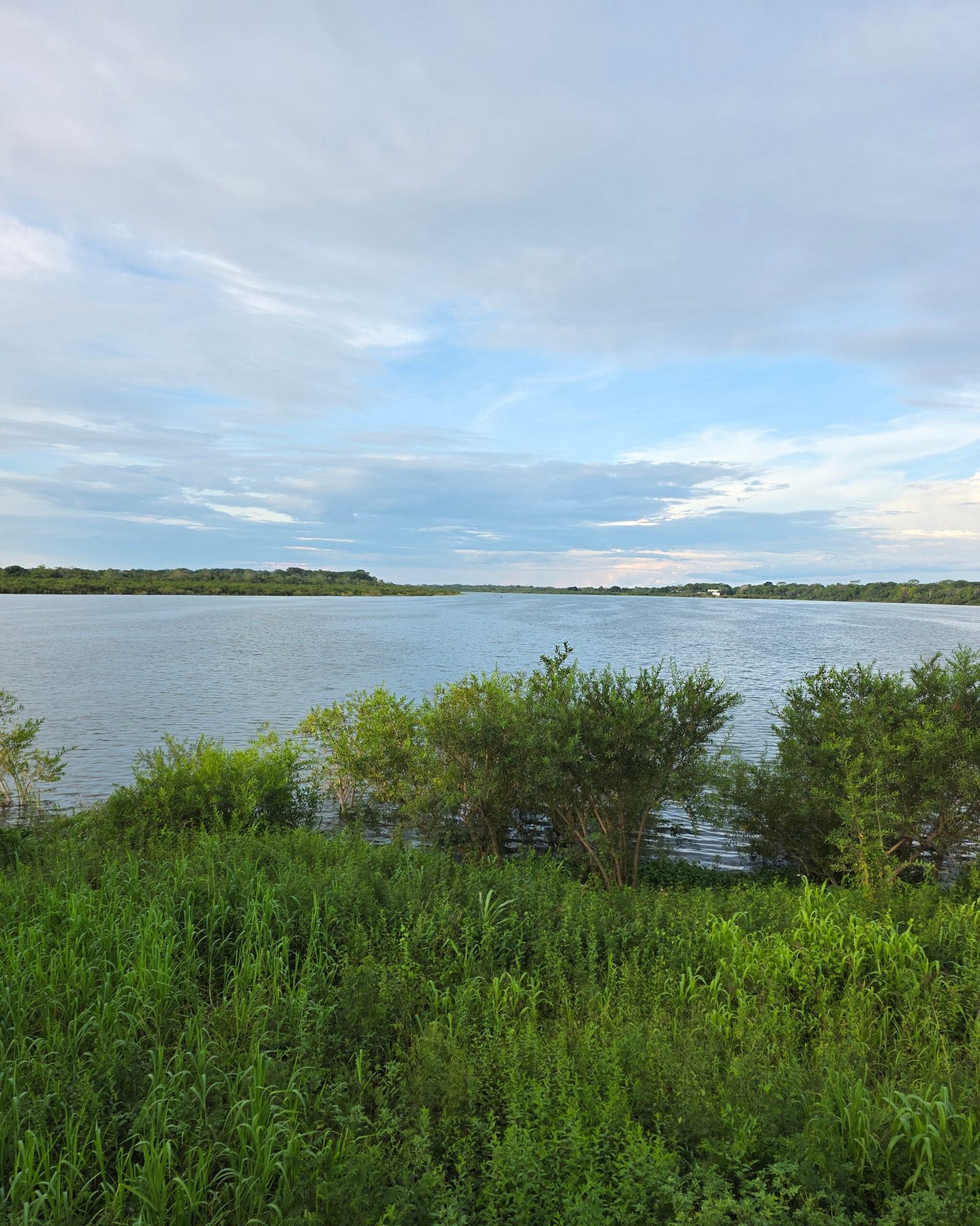 retiro medicina amazonica