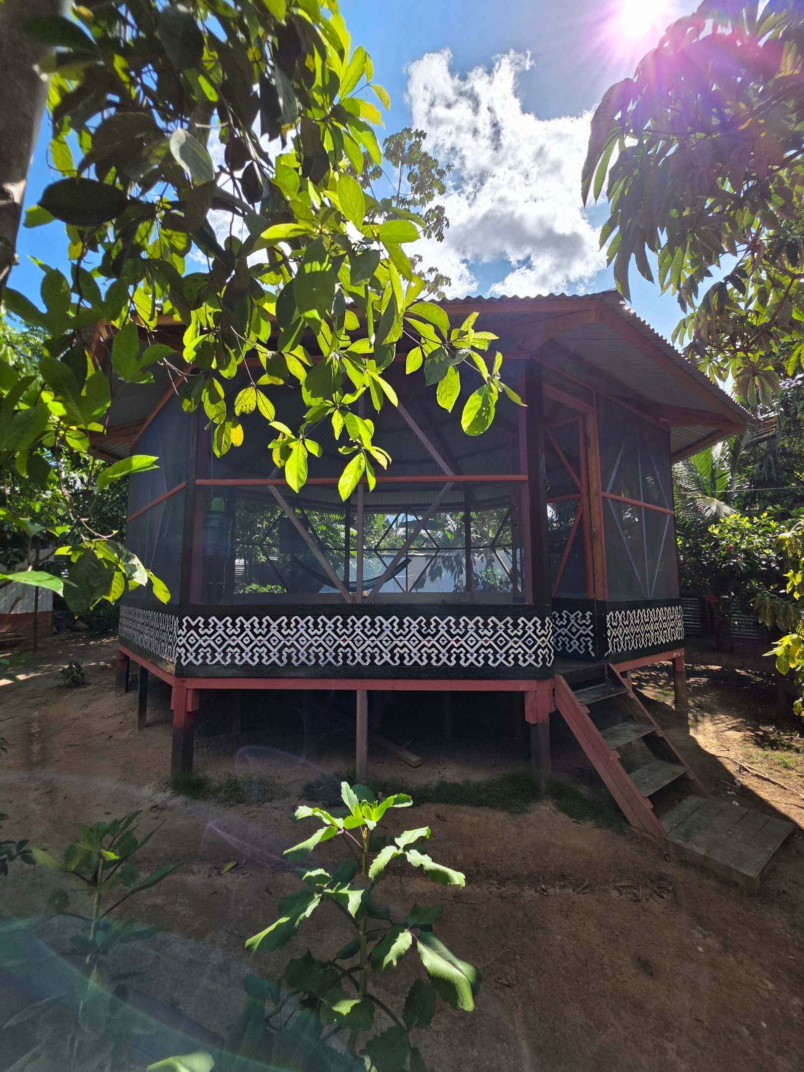 retiro medicina amazonica