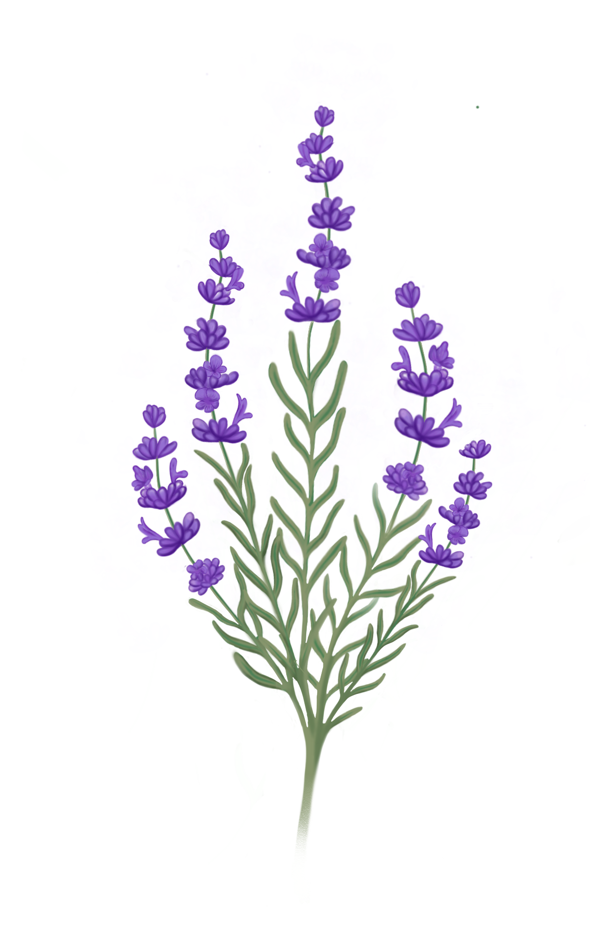 Consultas & Acompañamientos