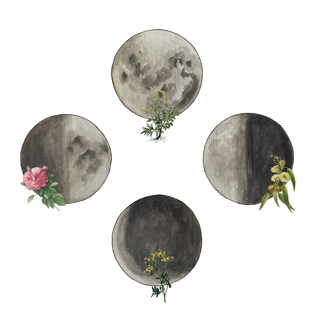 Ciclos de la Luna Plantas, Medicinas & Rituales