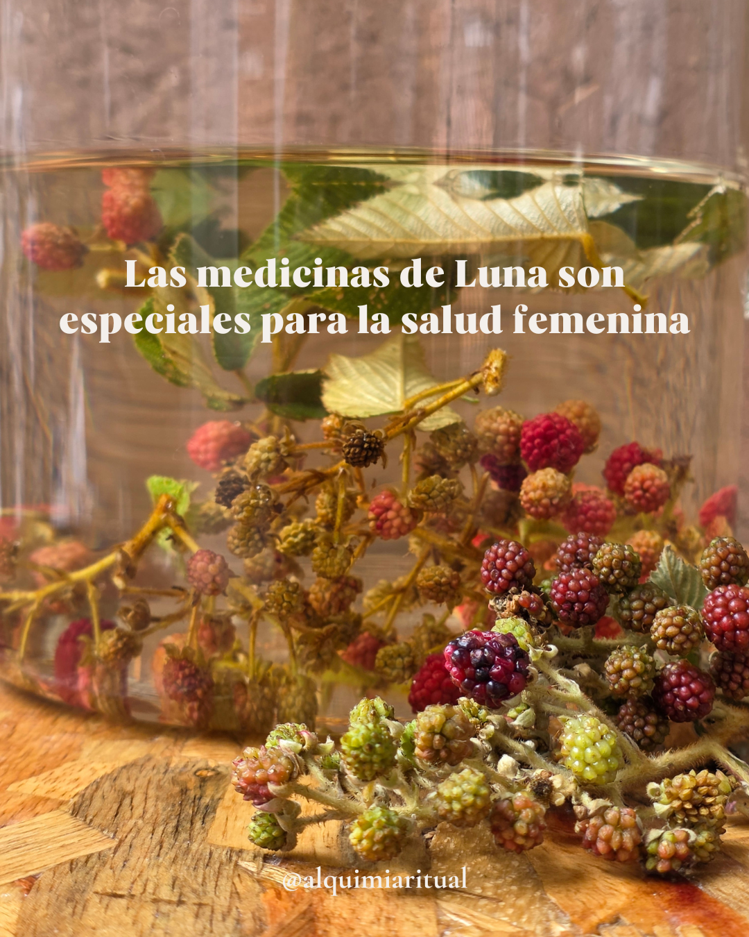 Ciclos de la Luna Plantas, Medicinas & Rituales